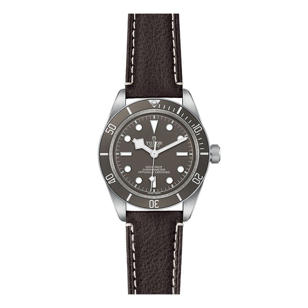 Reloj-Tudor-Black-Bay-58-79010SG-0001
