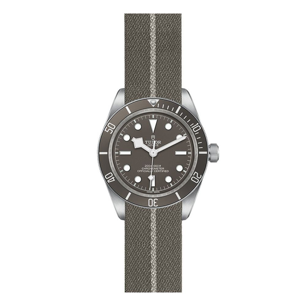 Reloj-Tudor-Black-Bay-58-79010SG-0002