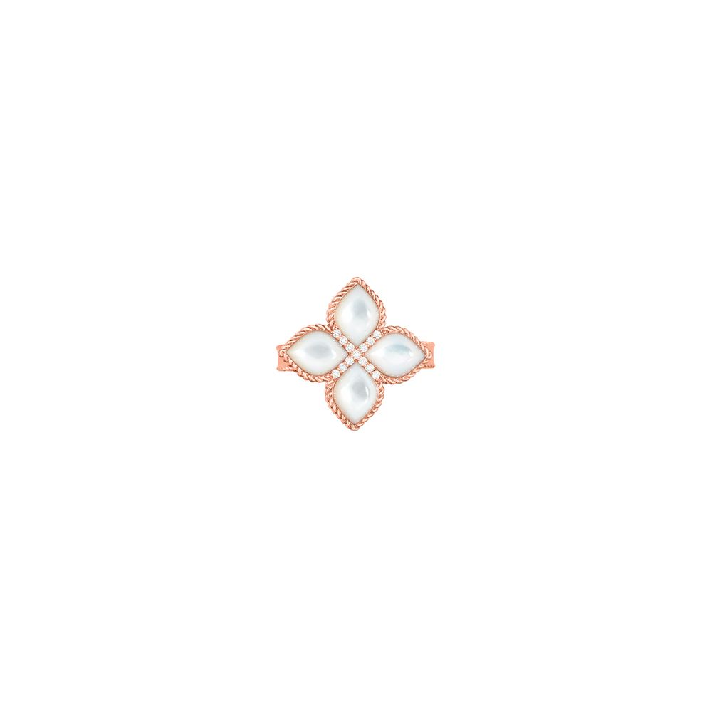 ARNPDADV888RI1569RR